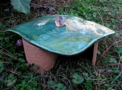 Stoneware Leaf Toad House -Pet Supplies Store AM TOAD LF dd97701a c7cd 47d1 95b8 ea147f1c6877