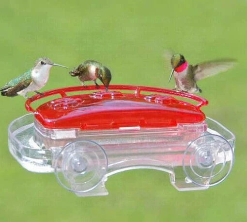 Jewel Box Window Hummingbird Feeder -Pet Supplies Store ASP lrg 407 7e9f35c2 9fe6 4db7 aa2a c42e1fcc789a