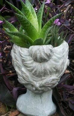 Aphrodite Lady Head Planter -Pet Supplies Store Aphrodite Head Planter Back View