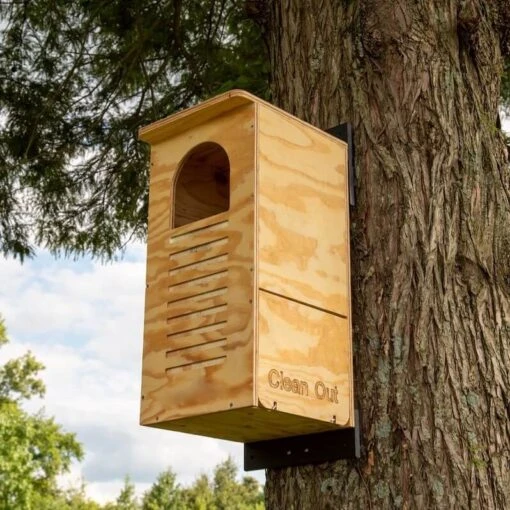 Barred Owl House Assembled Or Kit -Pet Supplies Store Barred Owl House