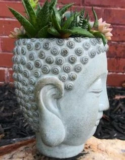 Buddha Head Planter -Pet Supplies Store Buddha Head Planter side view