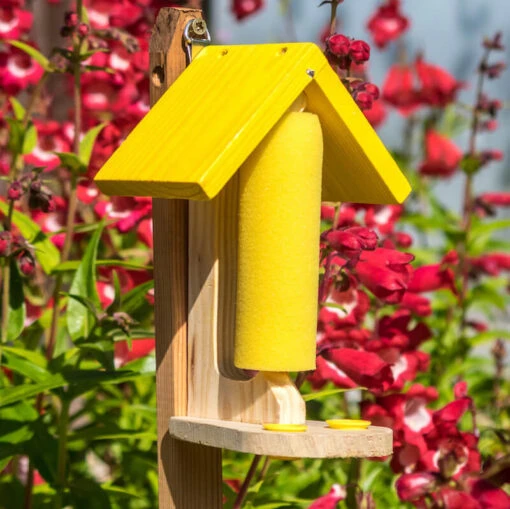 Butterfly And Bee Feeder Set/2 -Pet Supplies Store Butterfly bee feeder