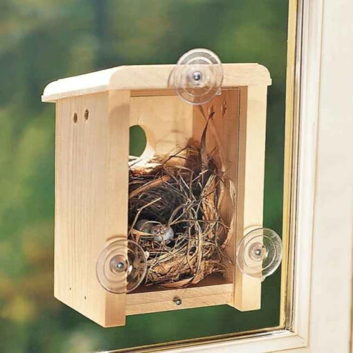 Window View Birdhouse Kit -Pet Supplies Store CS window nest 1cf24002 588a 4351 acc2 319403ac5724