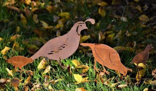 Quail Family Garden Stakes -Pet Supplies Store California Quail Garden Stakes