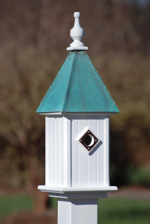 Copper Roof Bluebird House 26x8 -Pet Supplies Store Copper Roof Bluebird House Patina 2da13d0b b4bb 4b7d 961c 477c8141e237