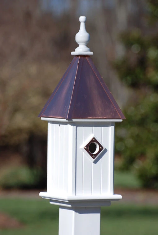 Copper Roof Bluebird House 26x8 -Pet Supplies Store Copper Roof Bluebird House 22b2a7b0 4bcc 442c 8961 6897c837ba09