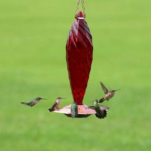 Cut Glass Ruby Hummingbird Feeder -Pet Supplies Store Cut Glass Ruby Hummingbird Feeder