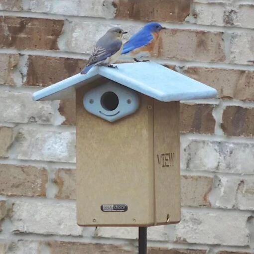 Deluxe Reycled Bluebird House-NABS Approved -Pet Supplies Store Deluxe Recycled Bluebird House