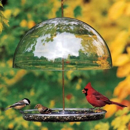 Dorothy’s Cardinal Bird Feeder -Pet Supplies Store Dorothys Cardinal Bird Feeder