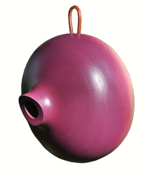 Ellipse Wooden Birdhouse- 3 Colors -Pet Supplies Store Ellipse Birdhouse Plum