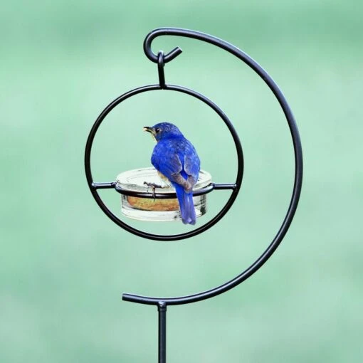 Garden Pole For Orb Feeders -Pet Supplies Store Garden Pole for Orb Bird Feeders