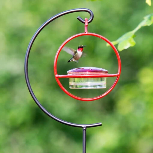 Garden Pole For Orb Feeders -Pet Supplies Store Garden Stake for Hummingbird Feeders