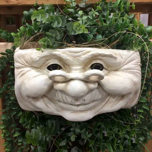 Grandma Wall Planter -Pet Supplies Store Grandma Wall Planter