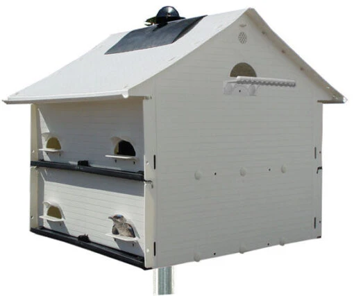 10 Family Martin House - Starling Resistant -Pet Supplies Store HH10large