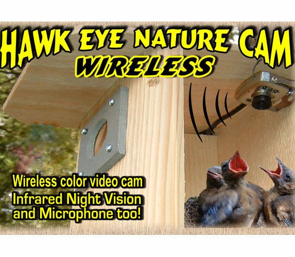 Pet Supplies Store -Pet Supplies Store Hawk Eye Wireless Spy Camera