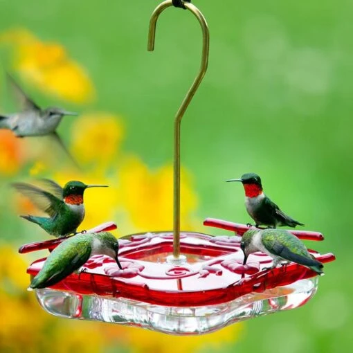 High-View Square Hummingbird Feeder -Pet Supplies Store High View Square Hummingbird Feeder