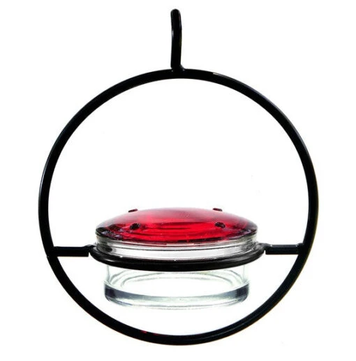 Triple Orb Glass Hummingbird Feeder -Pet Supplies Store Hummingbird feeder detail