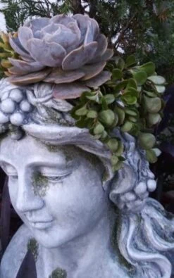 Large Lady Head Planter -Pet Supplies Store Lady Head Planter Side 2 Detail