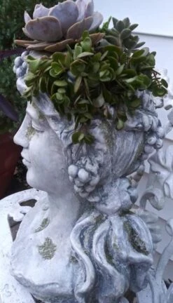 Large Lady Head Planter -Pet Supplies Store Lady Head Planter Side Detail