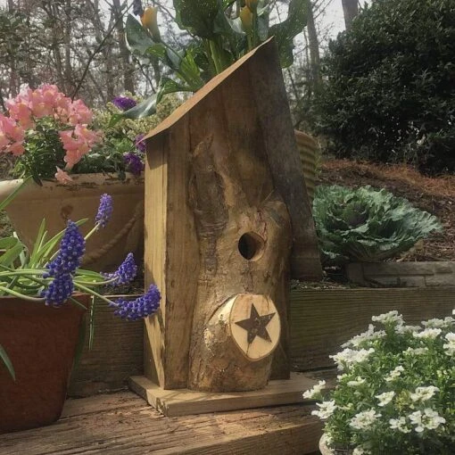 Rustic Log Front Birdhouses- 2 Sizes -Pet Supplies Store Log Front Birdhouse 1