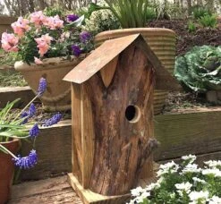 Rustic Log Front Birdhouses- 2 Sizes -Pet Supplies Store Log Front Birdhouse 3