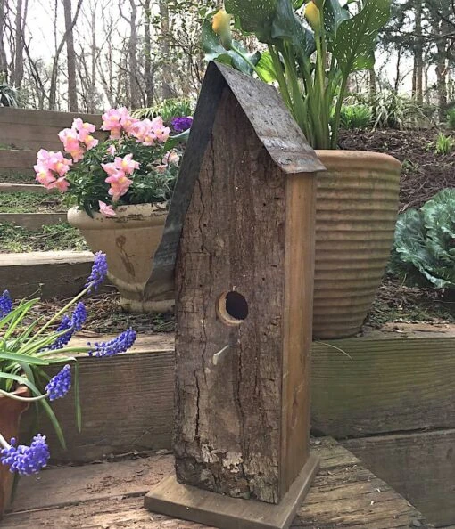 Rustic Log Front Birdhouses- 2 Sizes -Pet Supplies Store Log Front Birdhouse 9