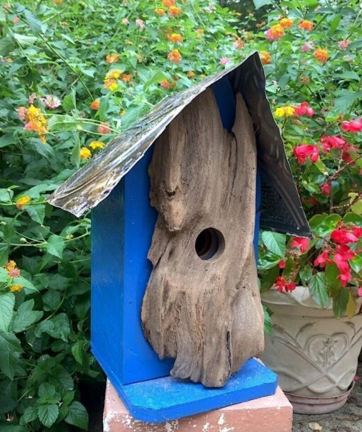 Rustic Log Front Birdhouses- 2 Sizes -Pet Supplies Store Log Front Birdhouse Blue Med