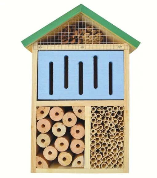 Multi-Chamber Insect House -Pet Supplies Store Multi Chamber Insect House