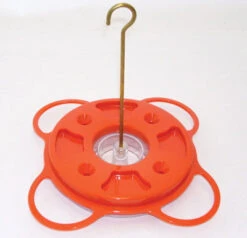 Oriolefest Oriole Bird Feeder -Pet Supplies Store NP1009 plain 2faac4d4 1641 4536 84b6 e5222fba40df