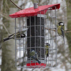 Nuttery Tall Caged Feeder -Pet Supplies Store Nutter Geo w birds