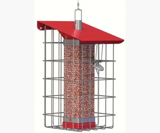 Nuttery Tall Caged Feeder -Pet Supplies Store Nuttery Squirrel proof feeder