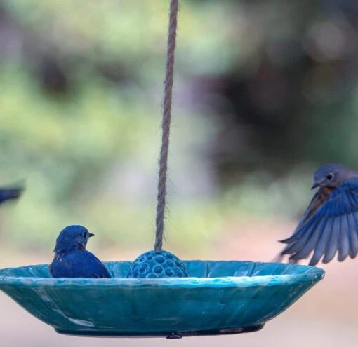 Pottery Bird Feeder -Pet Supplies Store Pottery Birdbath Bird Feeder