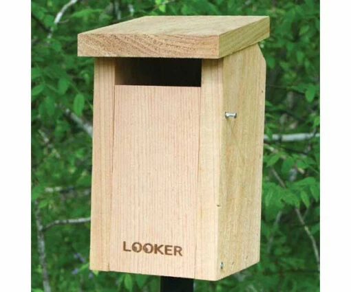 Bluebird House With Slot Entry-NABS Approved -Pet Supplies Store SE544