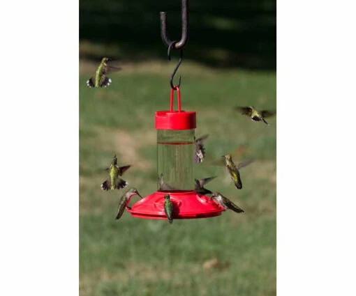 Dr. JB's Clean Hummingbird Feeder & Hummer Helmet -Pet Supplies Store SE6002 1 b6a1a4e6 4621 4711 b9e7 6b7be8031669