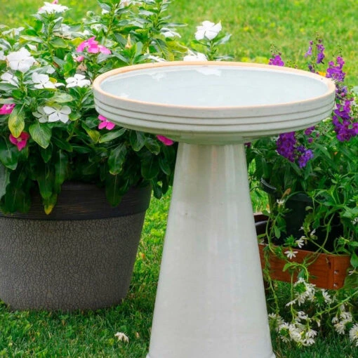 Simple Elegance Pedestal Bird Bath- 4 Colors -Pet Supplies Store Simple Elegance Birdbath White