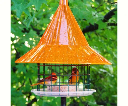 Sky Cafe Oriole Feeder -Pet Supplies Store Sky Cafe Oriole Feeder