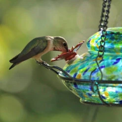 Solar Glass Hummingbird Feeder With Perch -Pet Supplies Store Solar Hummingbird Feeder Detail