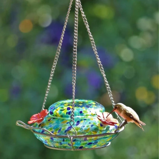 Solar Glass Hummingbird Feeder With Perch -Pet Supplies Store Solar Hummingbird Feeder with Perch