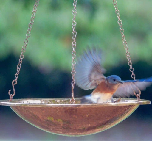 Solid Copper Hanging Bird Bath, 2 Sizes -Pet Supplies Store Solid Copper Hanging Bird Bath