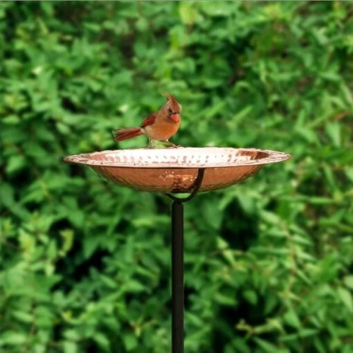 Solid Copper Staked Bird Bath- 2 Sizes -Pet Supplies Store Solid Copper Staked Bird Bath