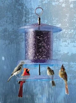 Songbird All-Weather Feeder 4 Or 6 Qt. -Pet Supplies Store Songbird All Weather Bird Feeder