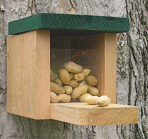 Squirrel Feeder Munch Box -Pet Supplies Store Squirrel Feeder Munch Box 9d264437 5220 4067 8918 81c3c50201b8