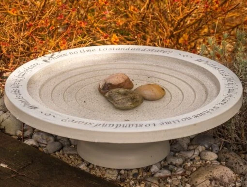 Large Step-In Bird Bath -Pet Supplies Store Stone Birdbath with Steps