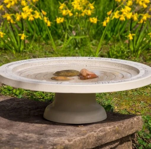 Large Step-In Bird Bath -Pet Supplies Store Stone Texture Bird Bath