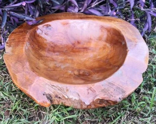 Decorative Teak Wood Bowls -Pet Supplies Store Teak Bowl G