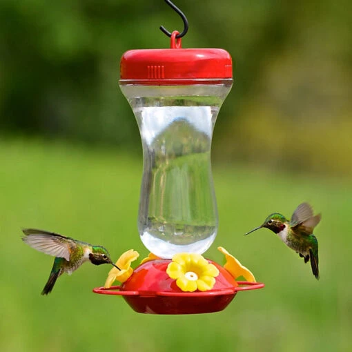 Top Fill Glass Hummingbird Feeder -Pet Supplies Store Top Fill Glass Hummingbird Feeder