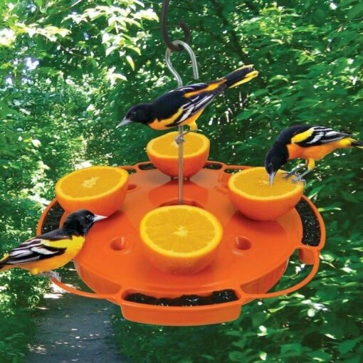 Ultimate Oriole Feeder -Pet Supplies Store Ultimate Oriole Feeder