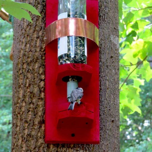 Bottle Bird Feeder -Pet Supplies Store bottle bird feeder 17ecf656 d0cc 443e 9440 8d95be9fae85