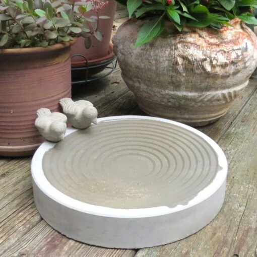 Small Steps Ground Bird Bath -Pet Supplies Store concentric ground birdbath