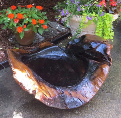 Natural Teak Ground Bird Bath -Pet Supplies Store extra large teak ground birdbath